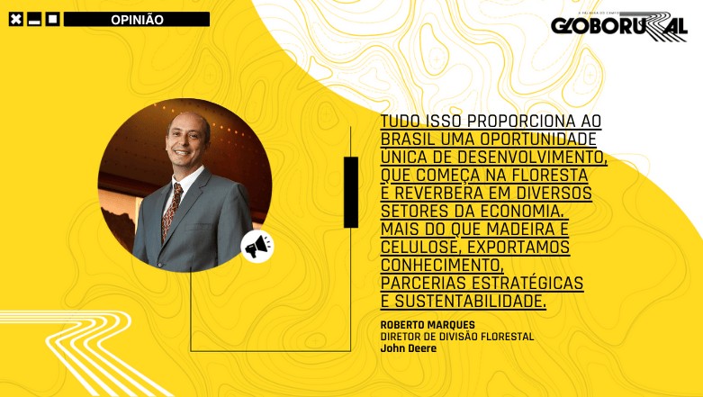 Silvicultura como propulsora de desenvolvimento do agronegócio