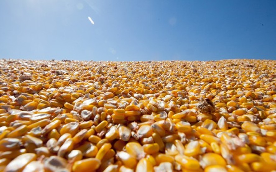 Expedição indicou safra de milho nos EUA de 380 milhões de toneladas na temporada 2023/24