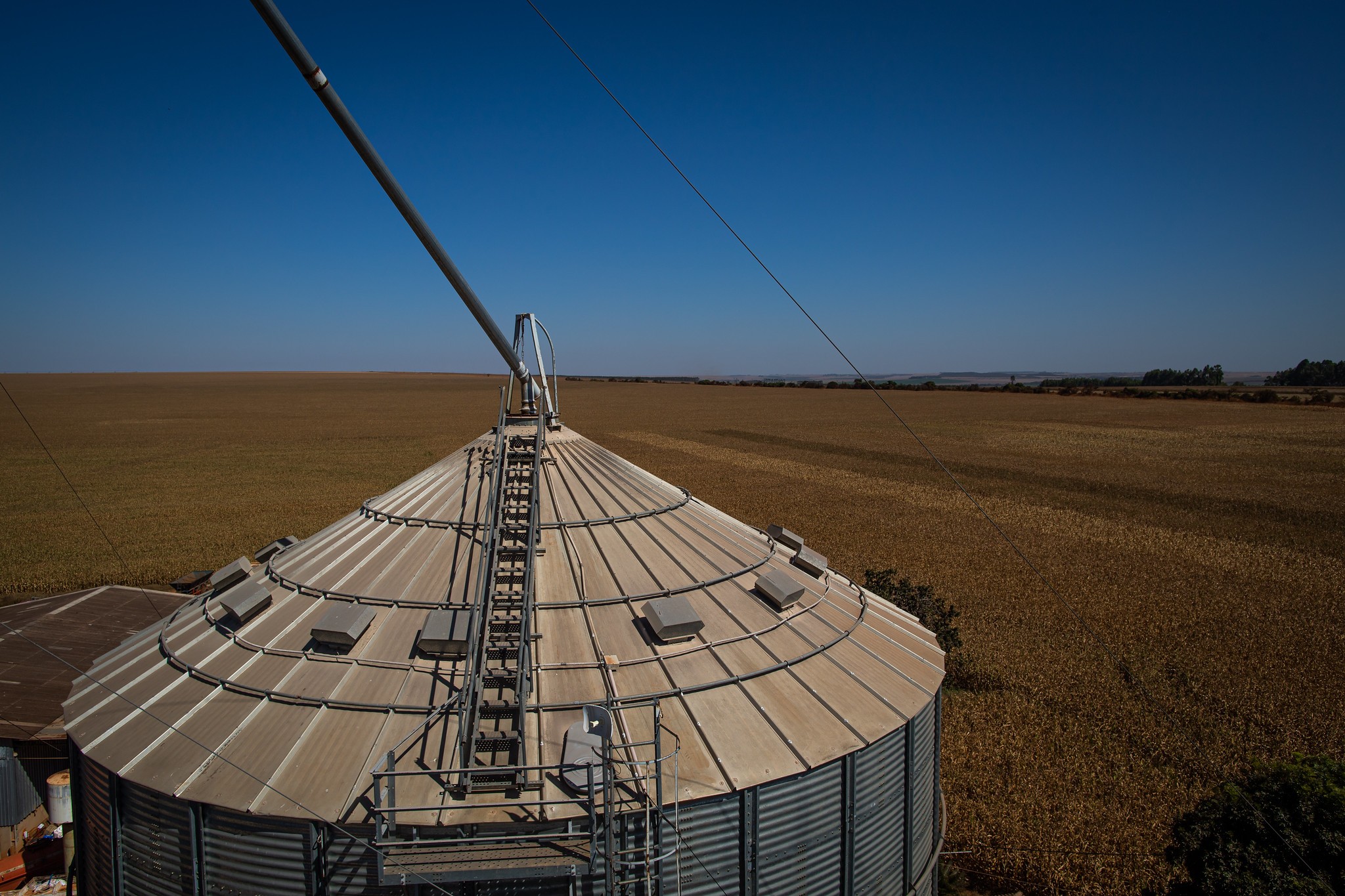 Capacidade de armazenagem agrícola cresceu 1,1% no segundo semestre de 2025, diz IBGE