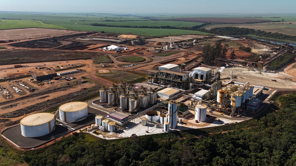 Tempo seco faz Raízen moer 15% mais cana no primeiro trimestre da safra