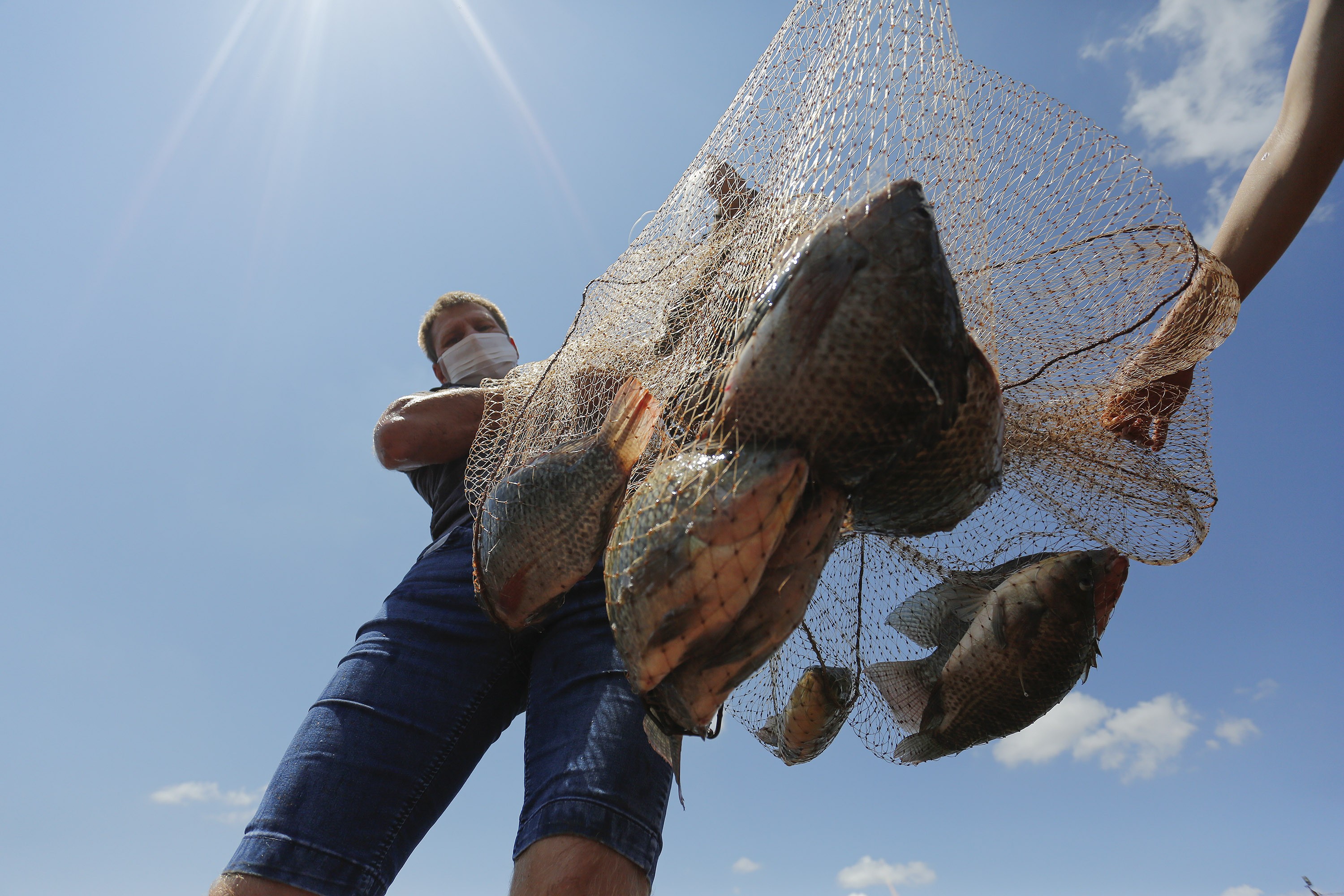 Pescado brasileiro pode voltar ao mercado europeu; ouça o comentário