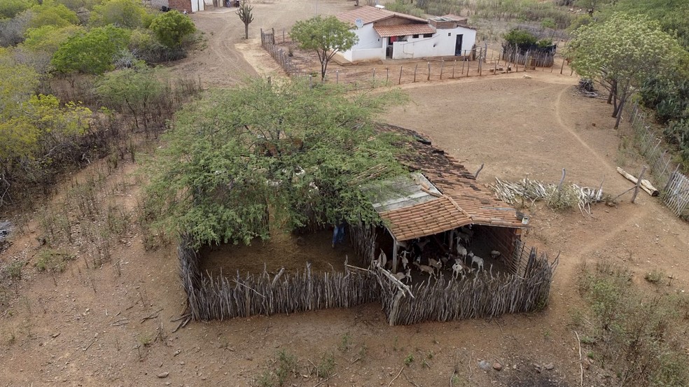 Curral onde os animais são mantidos durante a noite, quando não estão na Caatinga — Foto: Rogério Albuquerque/Ed Globo