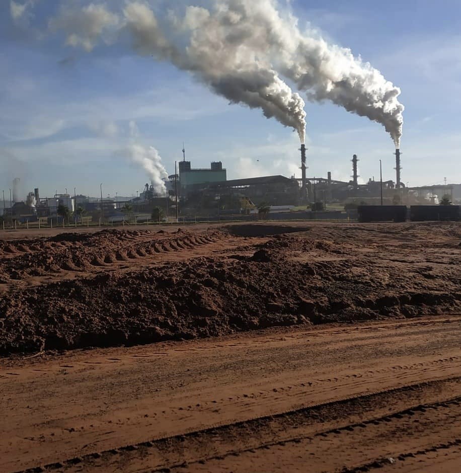 Polícia Ambiental e Cetesb investigam Cofco por morte de peixes no interior de SP