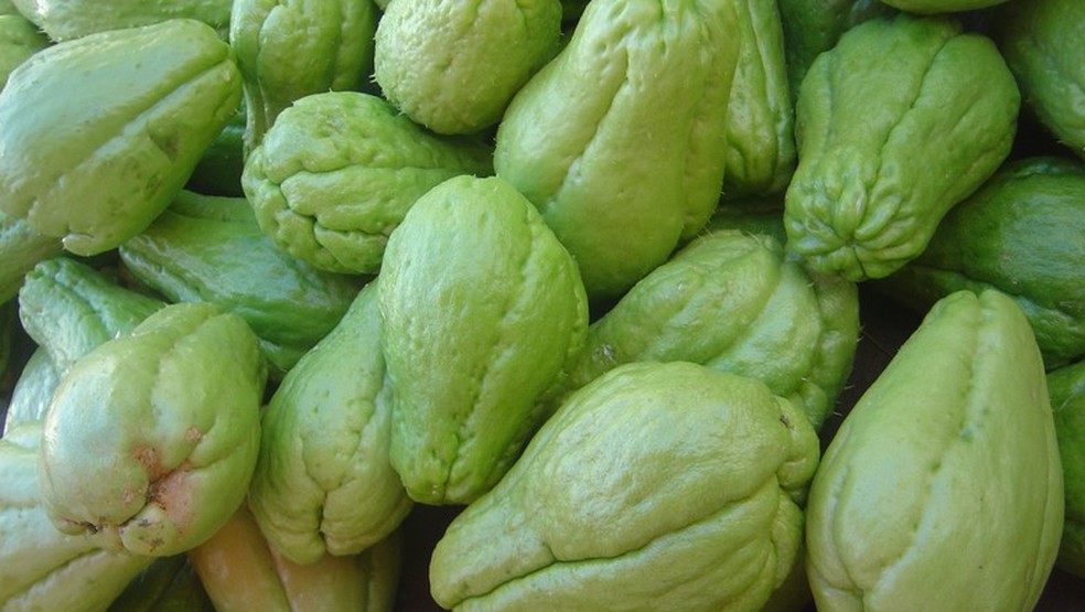 Chuchu — Foto: Wikimedia Commons