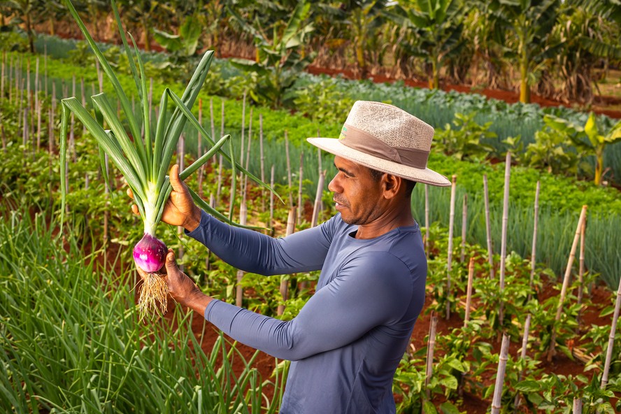 Proagro é uma espécie de seguro rural público para pequenos e médios e pequenos produtores