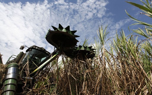 Colorado faz oferta por usina da Raízen em SP