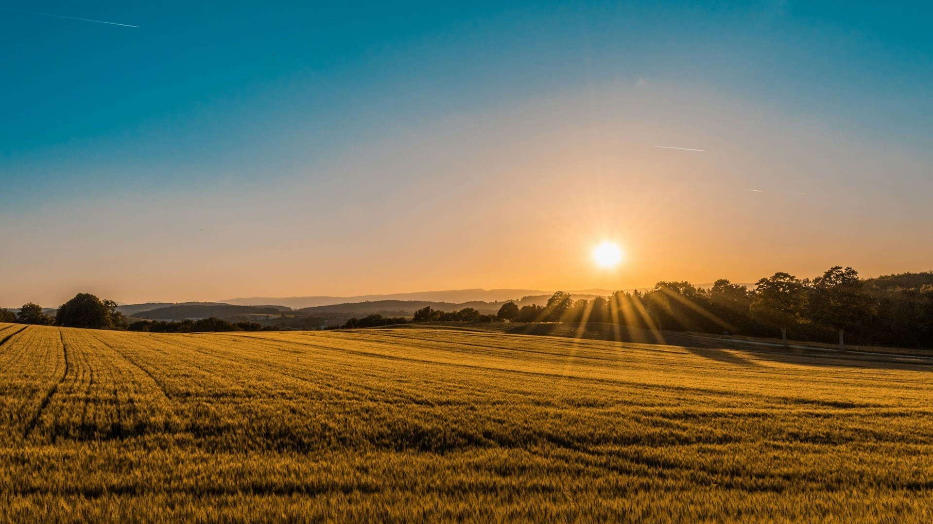 Do campo ao suplemento: como a qualidade dos ingredientes começa na produção agrícola - QTU Questões do Universo