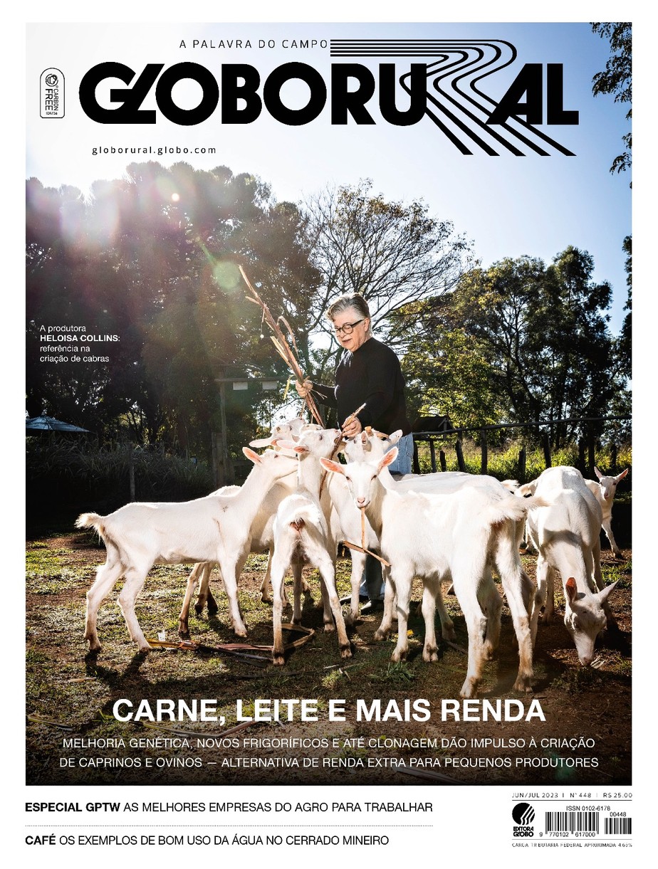 Globo Rural (@GloboRural) / X