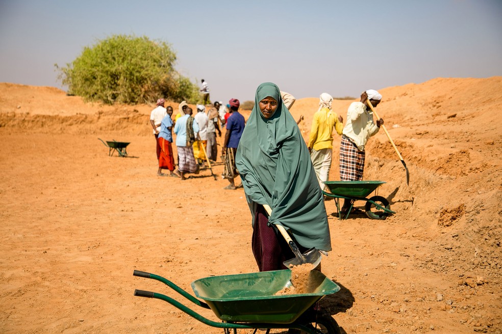Dados da FAO, agência da ONU para a Agricultura e Alimentação, apontam que a falta de acesso a recursos e as mudanças climáticas reduzem a produtividade e o valor da produção das lavouras cultivadas por mulhere — Foto: FAO/ONU