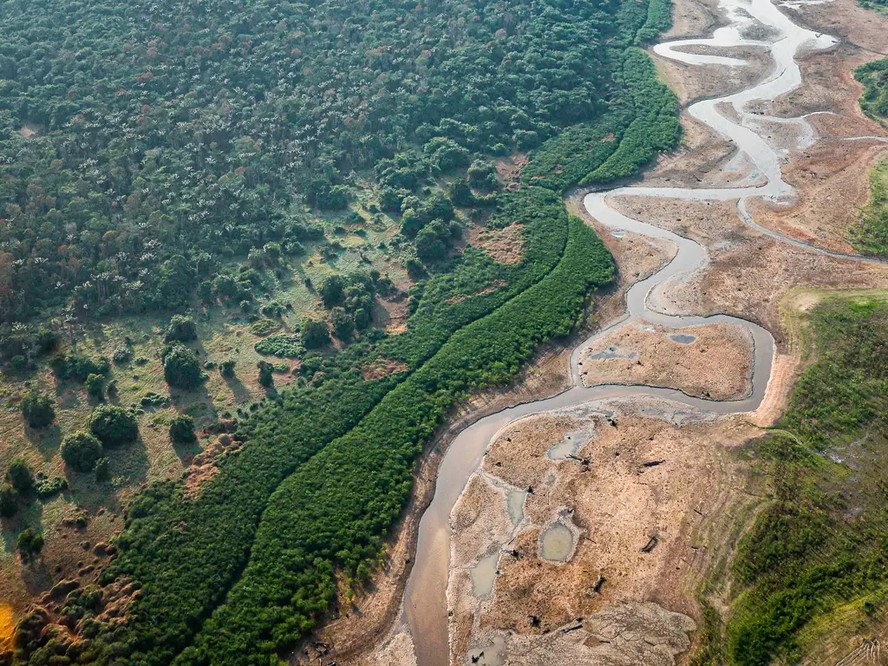 Amazonas é um dos Estados afetados pelas altas temperaturas