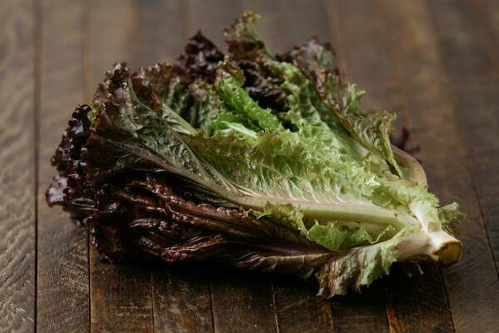 Alface roxa — Foto: Creative commons