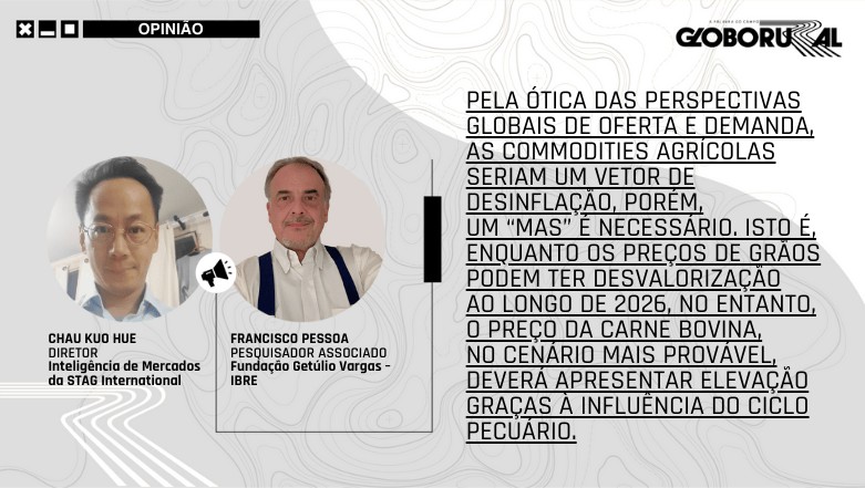 Safras de soja e milho terão baixa contribuição para o PIB e inflação em 2026