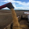 Demanda chinesa por soja americana ainda está longe da meta estabelecida pelo governo Donald Trump - Globo Rural