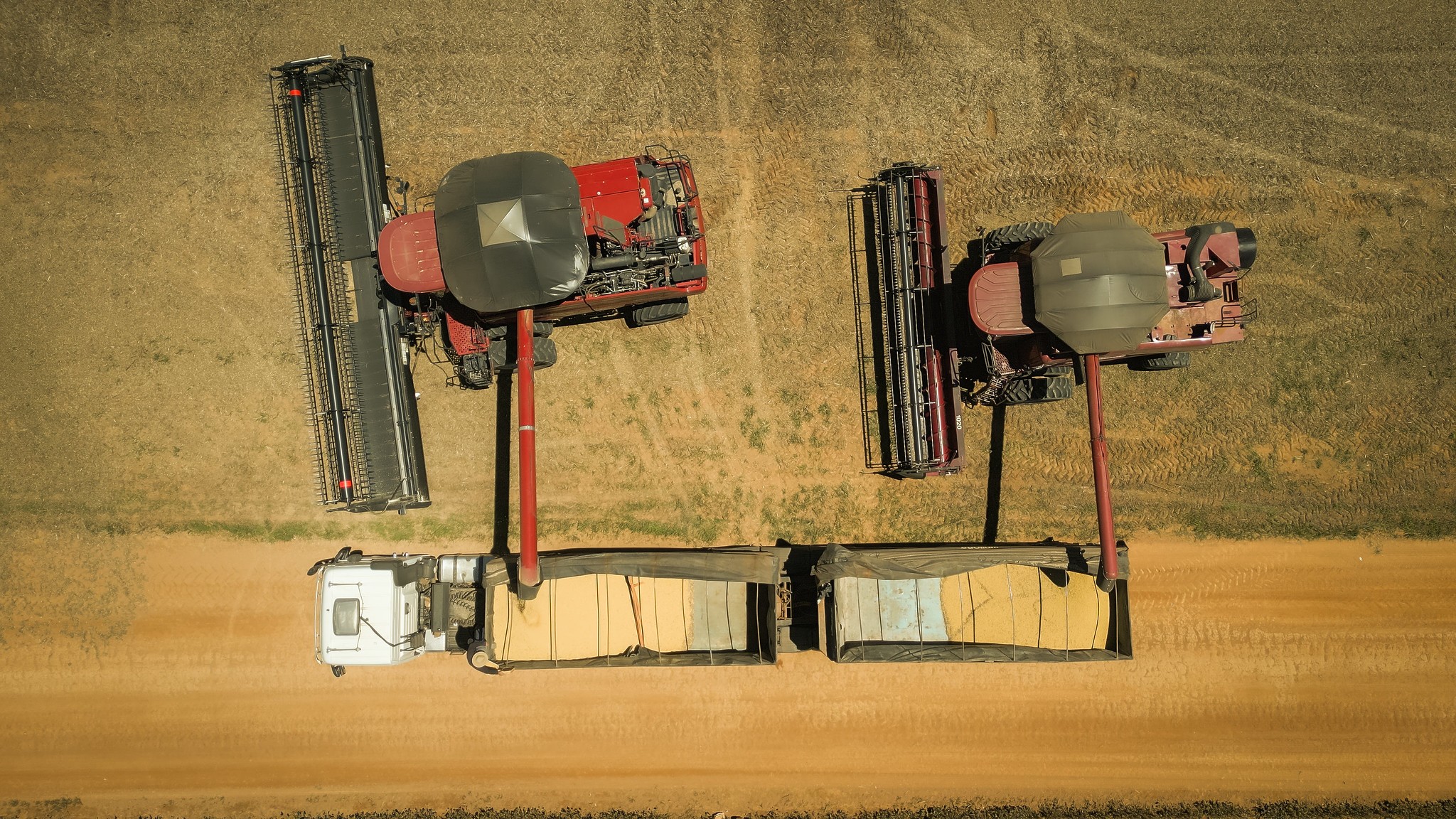 Soja recua em Chicago com projeções de safra recorde no Brasil