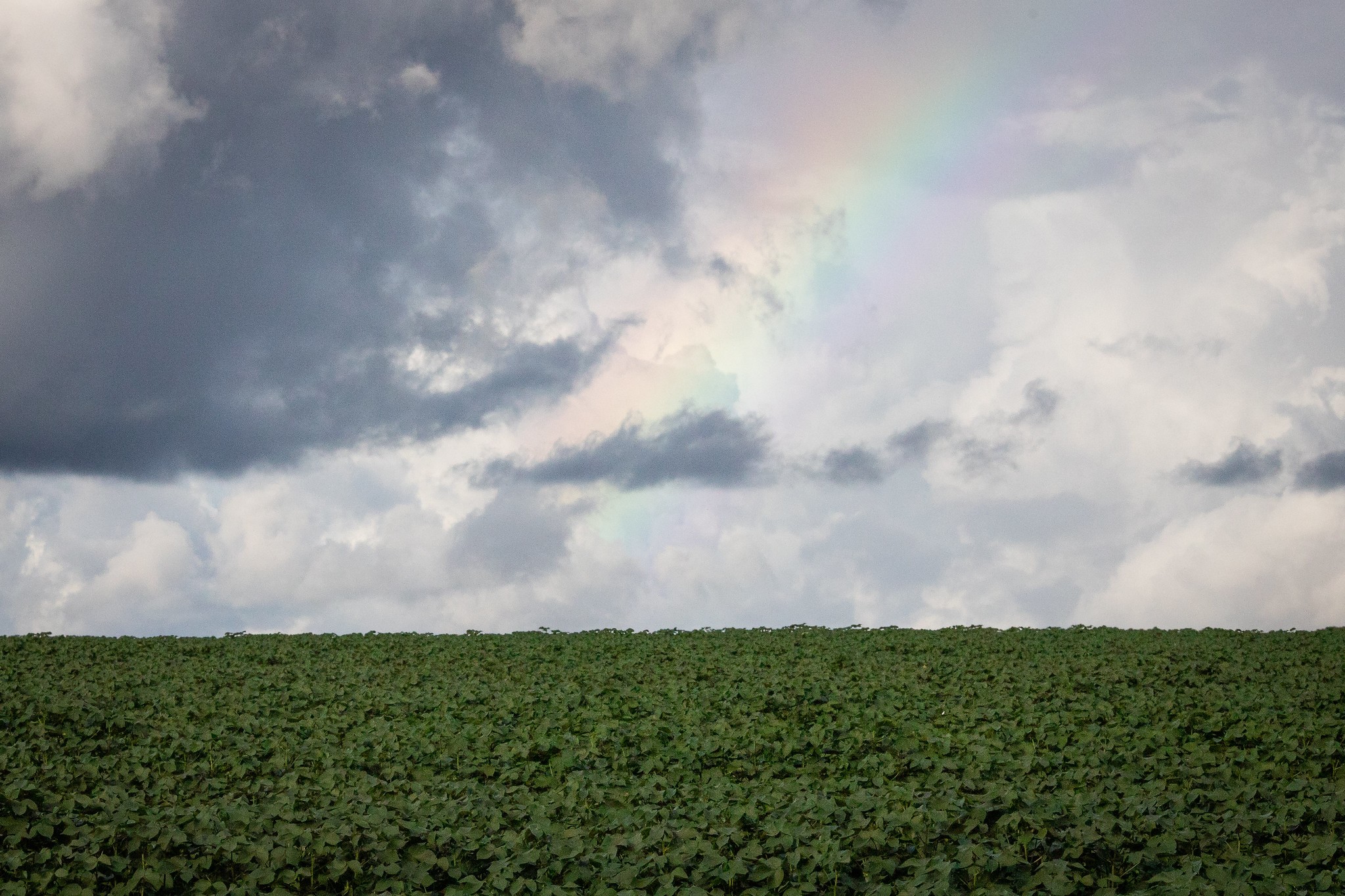 Semana começa com tempo encoberto e pouca chuva no país