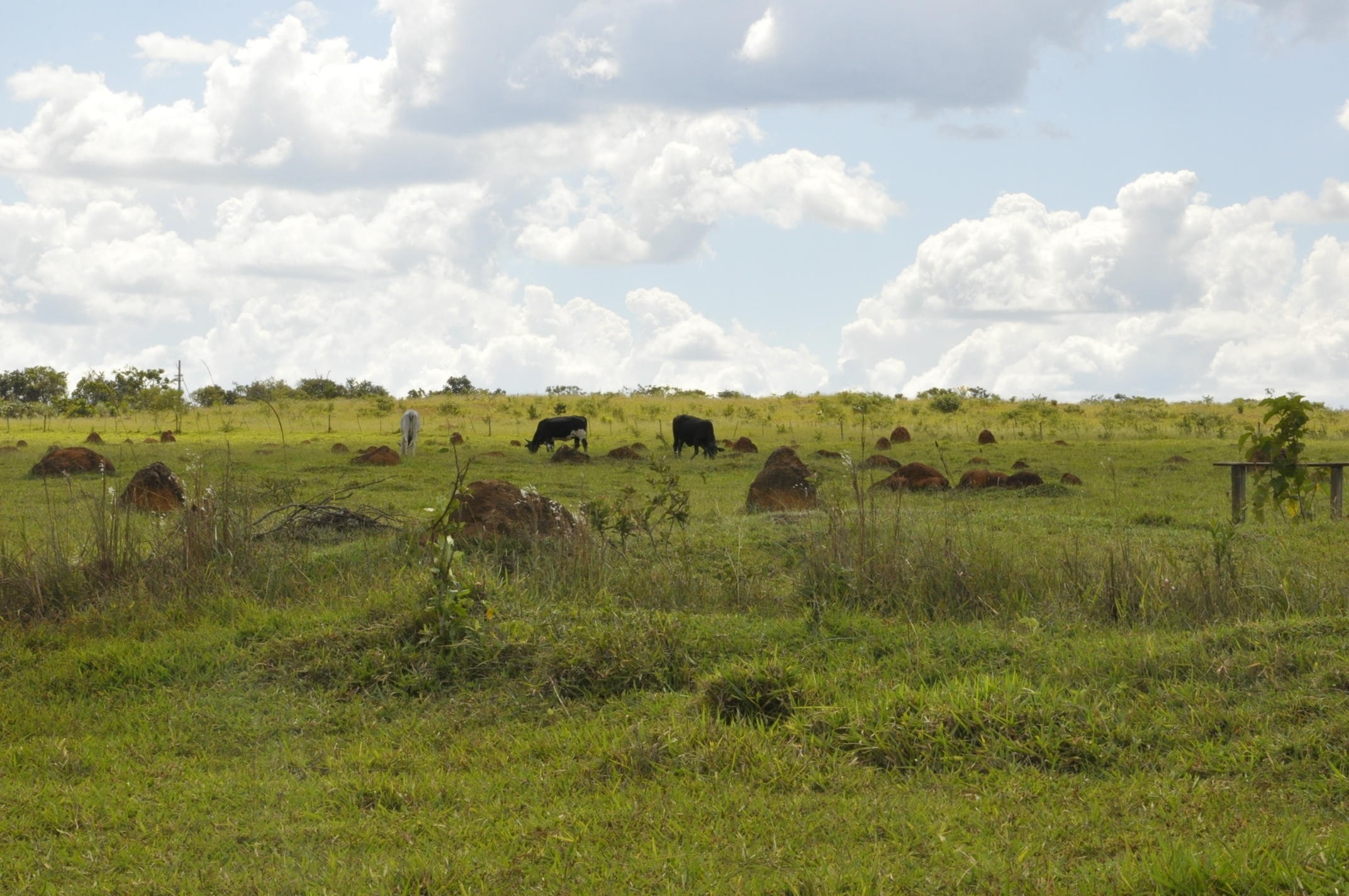 Organizações querem mais exigências socioambientais do Pronaf no próximo Plano Safra