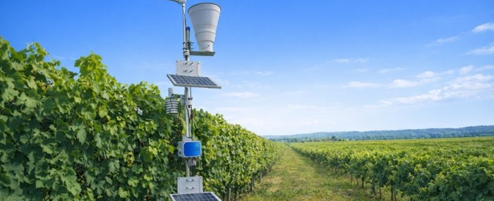 Sistema auxilia produtores a prever oferta de água e planejar irrigação