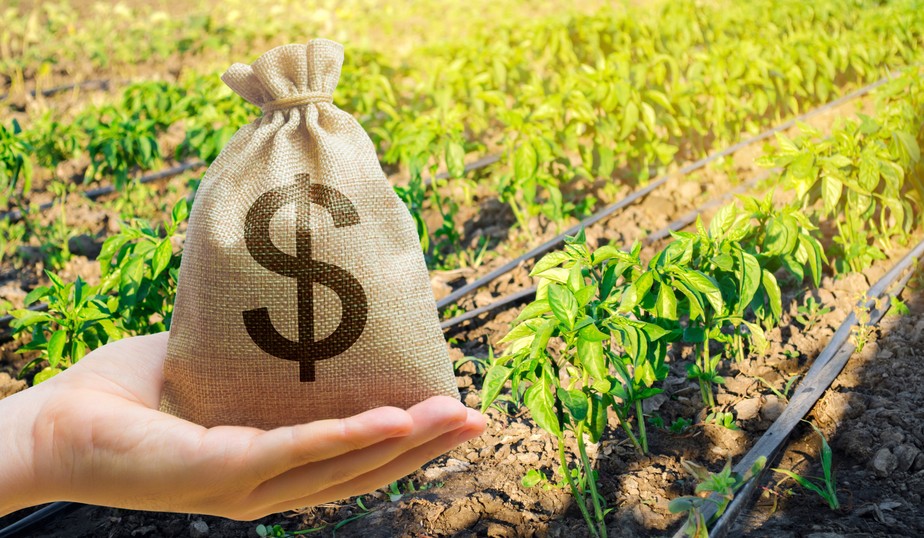 Renegociação de dívidas rurais custará R$ 65 bilhões em 13 anos, diz FPA