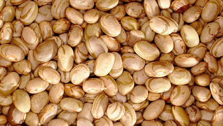 Preços médios do feijão-carioca batem recordes em março