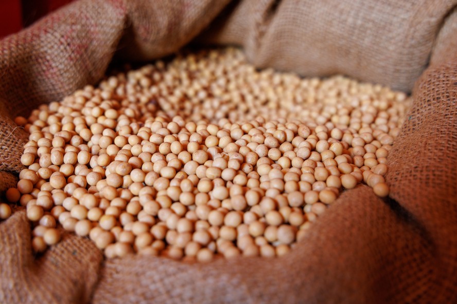 “Os multiplicadores sem estrutura de capital reforçada sofreram mais”, diz Felipe Marques