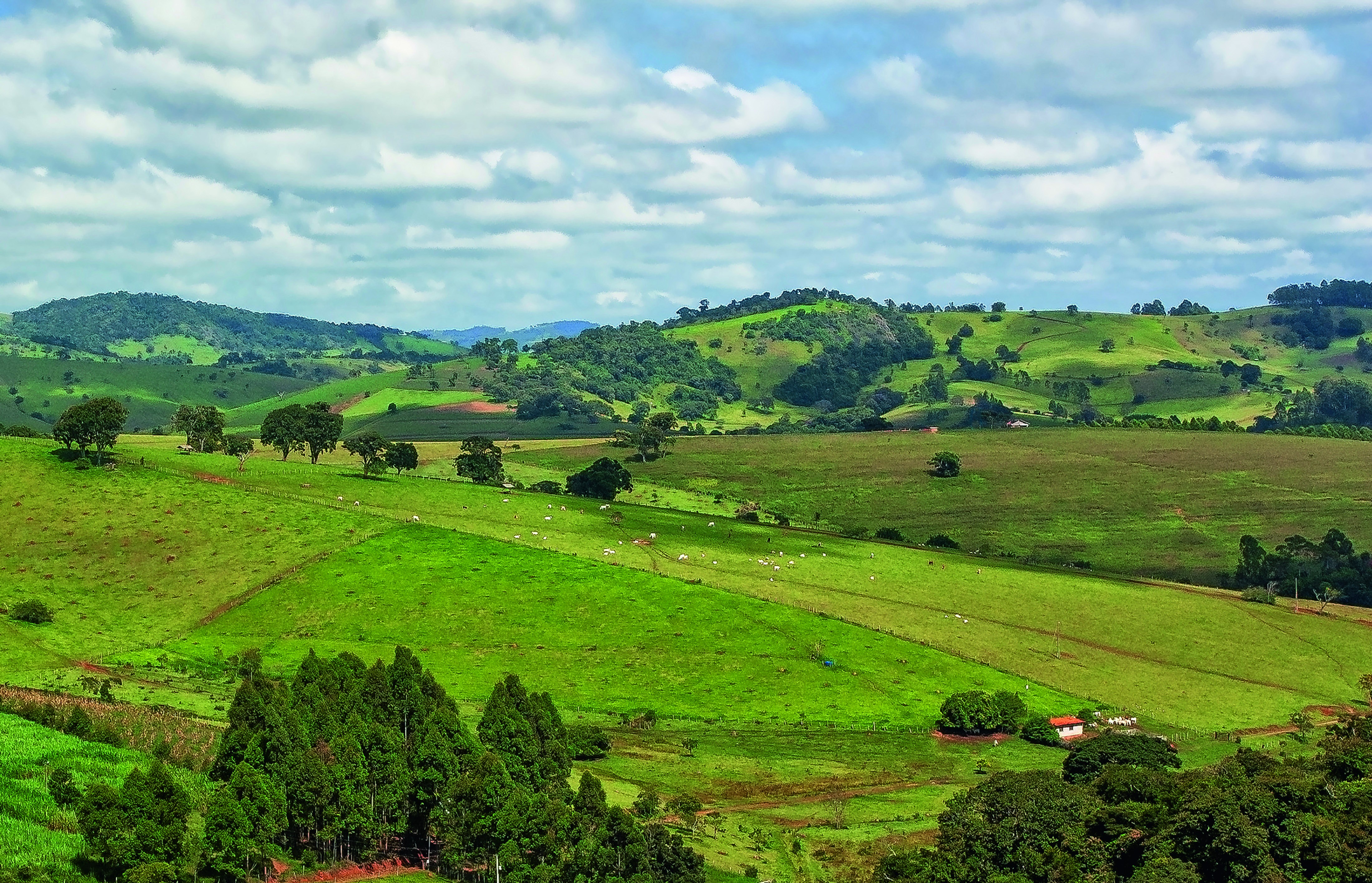Mercado de créditos de carbono ganha espaço no agro brasileiro