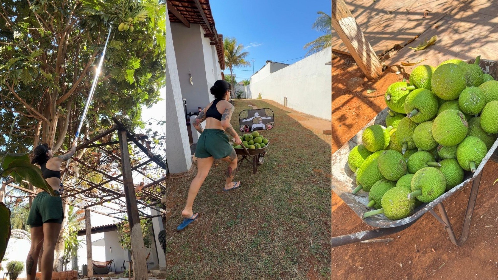 Tinder das frutas: empresária cria plataforma para evitar desperdício