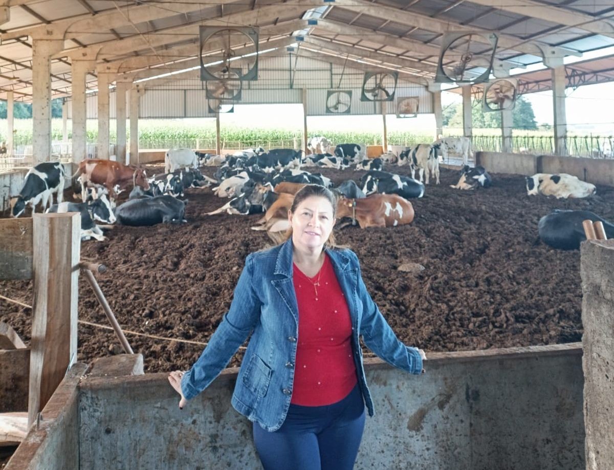 Com investimentos anuais via Pronaf, produtora de leite amplia rebanho no Paraná