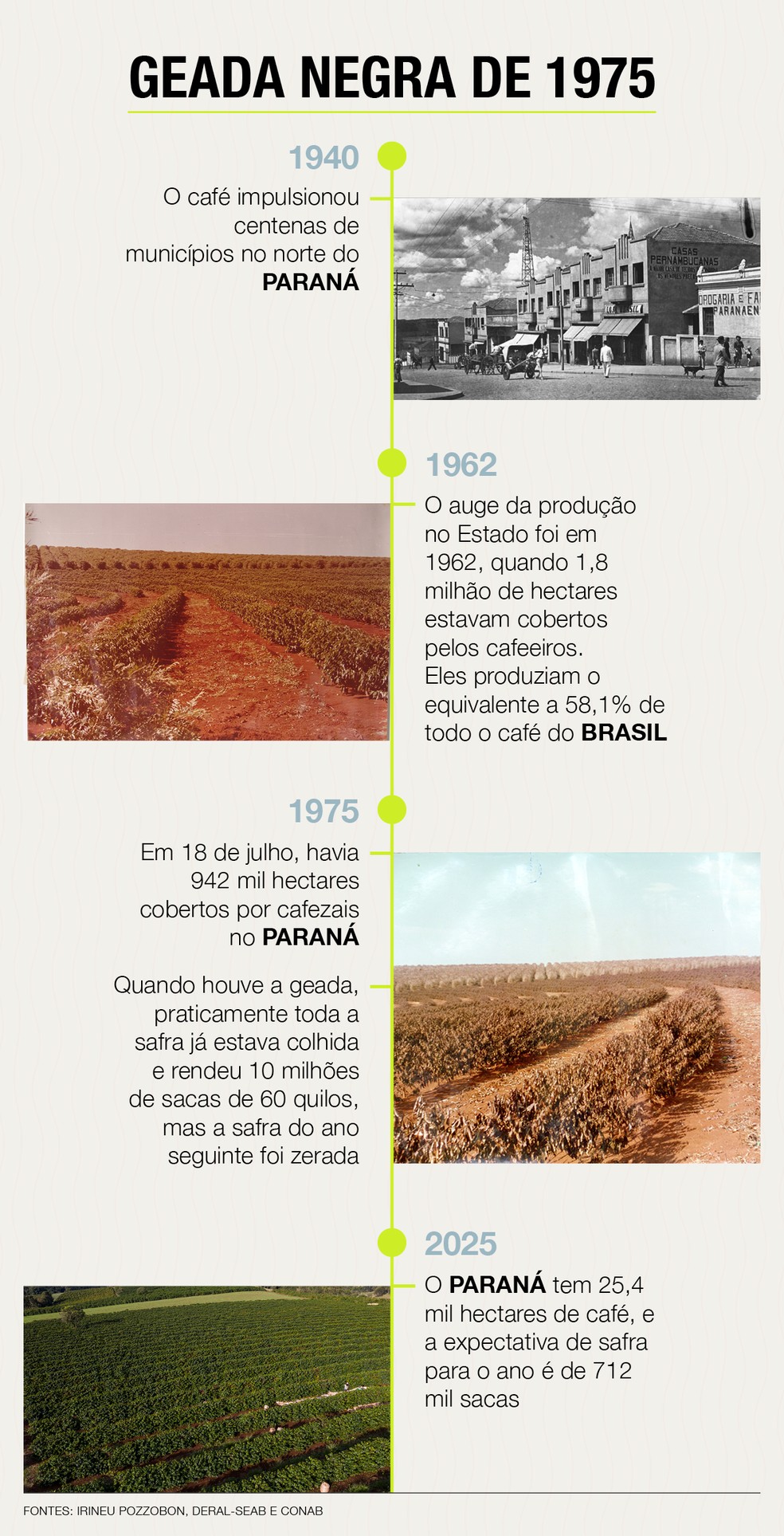 Geada negra de 1975 — Foto: Globo Rural