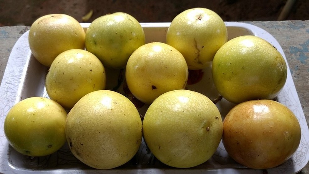 Maracujá é consumido fresco, em sucos e doces — Foto: Pixabay
