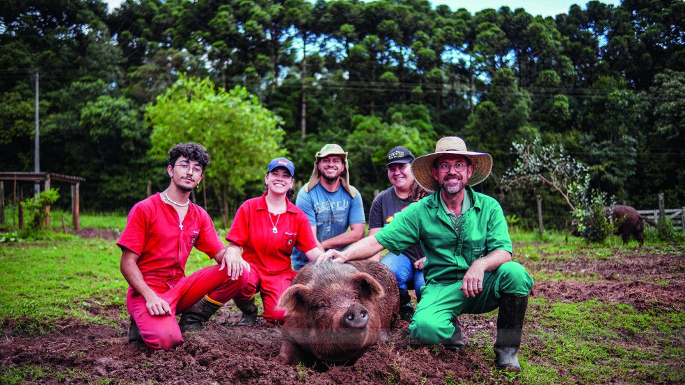 O professor Marson (de verde) e sua equipe estudam o porco moura na UFPR — Foto: Thiago de Jesus/Ed Globo