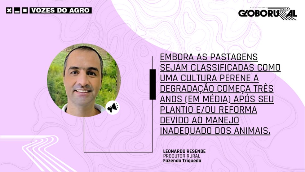  — Foto: Globo Rural