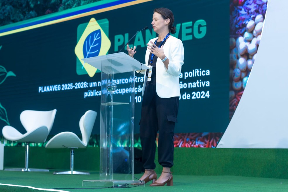 Fabíola Zerbini participou da abertura do Congresso Brasileiro de Sementes, em Foz do Iguaçu (PR) — Foto: Valdecir Gomes da Silva