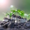 Área potencial tratada com bioinsumos alcançou 83,3 milhões de hectares na safra 2024/25 - CropLife/Divulgação