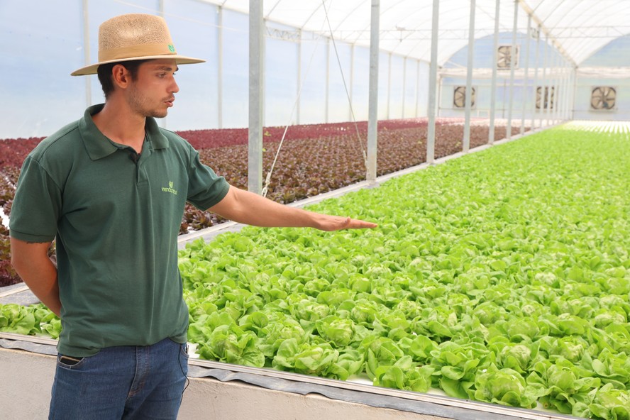Dia do engenheiro-agrônomo: saiba o que faz esse profissional