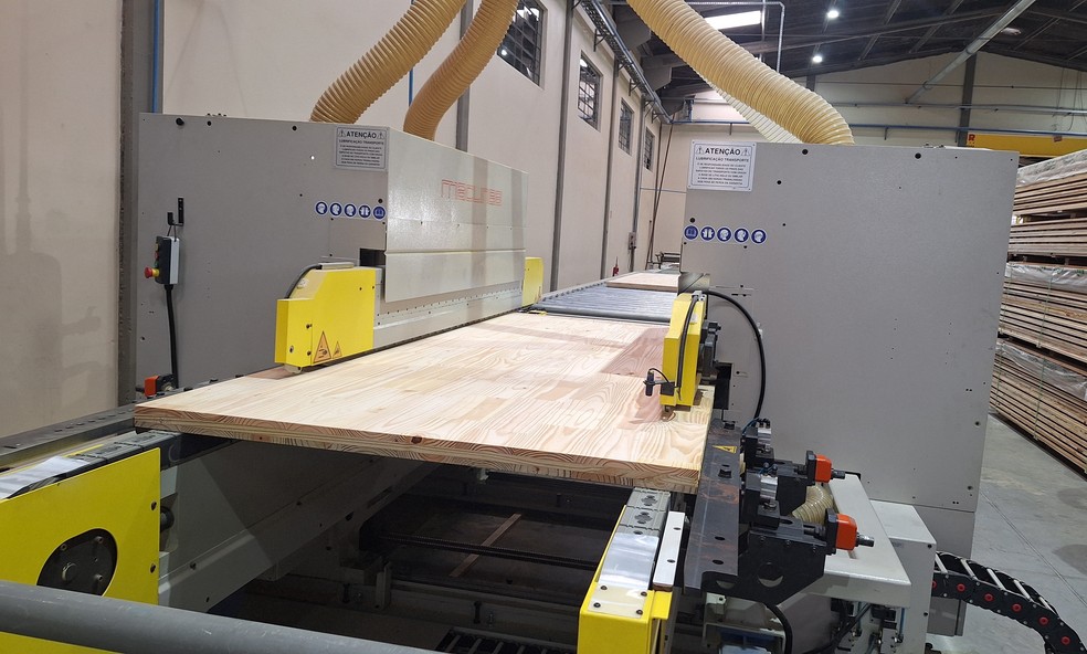Parte da madeira será beneficiada para a construção de painéis feitos com CLT (Cross Laminated Timber) — Foto: Carolina Mainardes/Globo Rural
