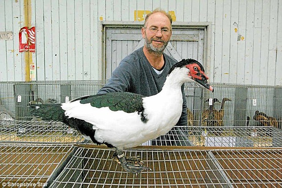 Big Dave entrou para lista de animais mais caros do mundo graças ao seu valor sentimental — Foto: Guinness Book/ Divulgação