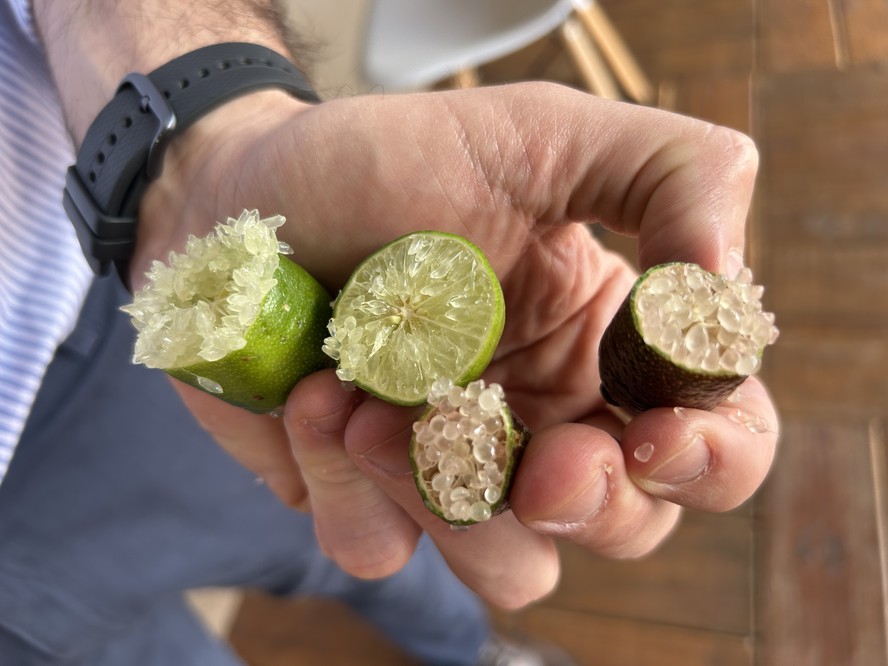 Limão-caviar: fruta da alta gastronomia pode custar até R$ 2 mil o quilo