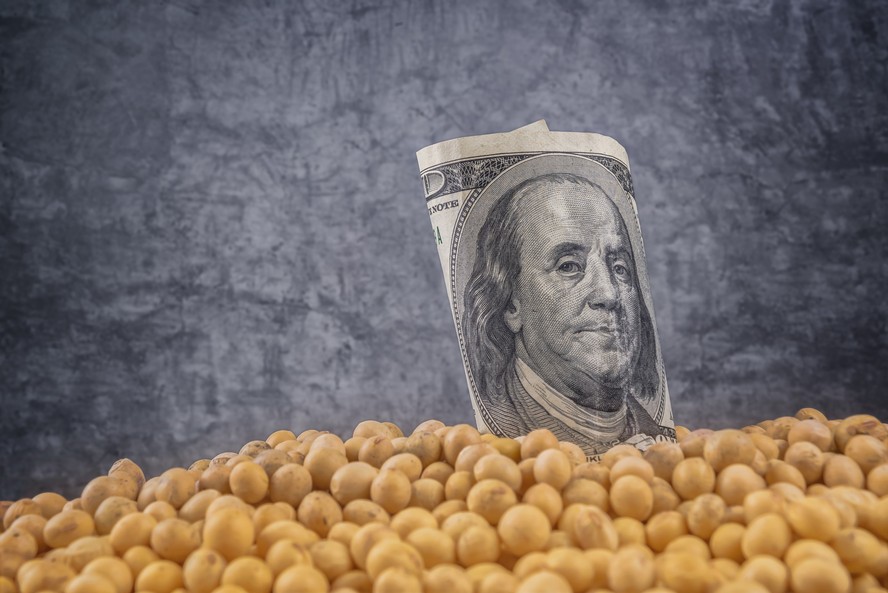 Queda do dólar afetou as cotações da soja
