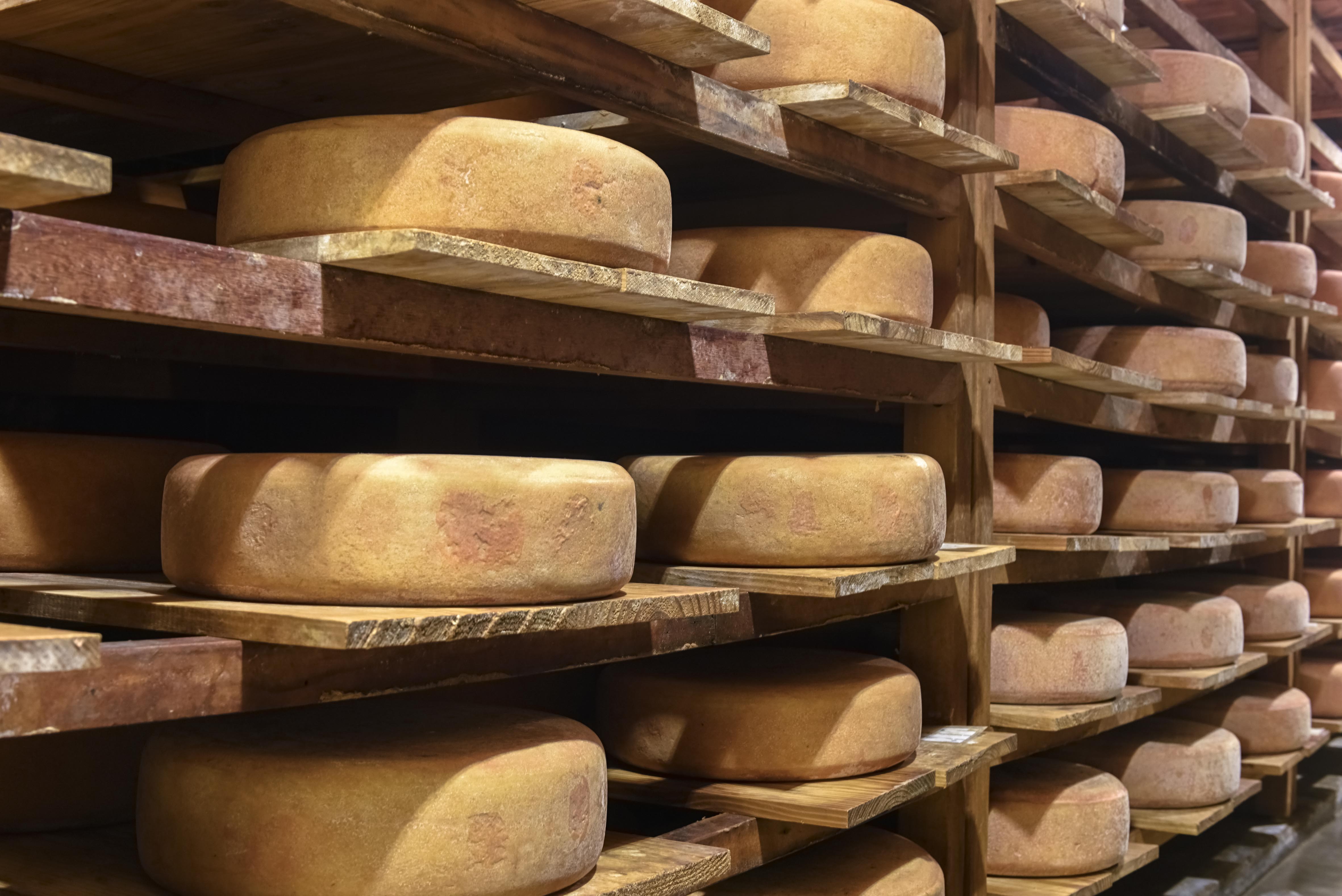 Paulista Pardinho leva aos EUA seu queijo com ‘terroir’ tropical