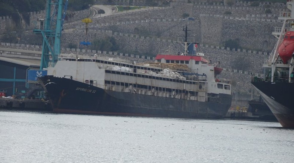 Navio Spiridon II não recebeu autorização de autoridades da Turquia para desembarque de gado vivo — Foto: AWF/Divulgação