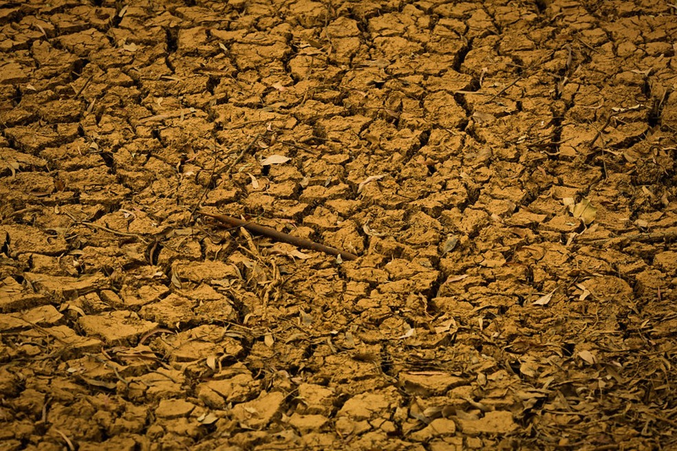 No Nordeste, a área em que a agricultura não é mais possível devido à estiagem e às práticas erradas de manejo chegou a 70 mil quilômetros quadrados — Foto: Wenderson Araujo