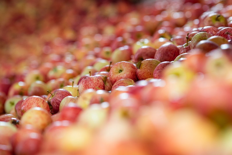 Preços da maçã seguem em alta com oferta mais reduzida