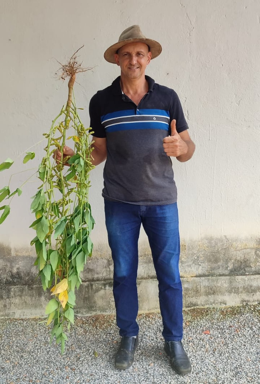 Joel Neri Weiss, de Monte do Carmo (TO), é descendente de um dos primeiros plantadores de soja do Brasil — Foto: Arquivo pessoal