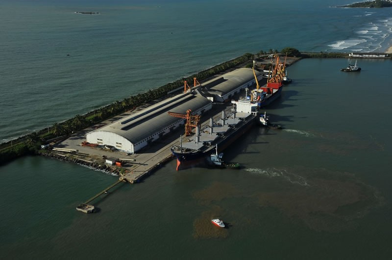 Produtores de cacau da Bahia fazem protesto contra alta nas importações da África