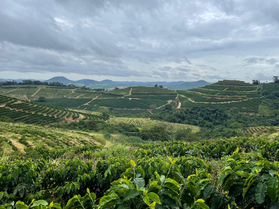 Fazendas de café no Sul de Minas Gerais testaram a ferrramenta