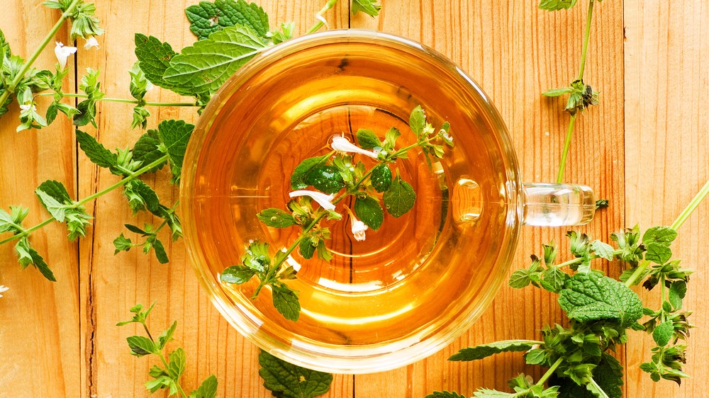 Para que serve o chá de erva-cidreira? Conheça 7 benefícios da planta!
