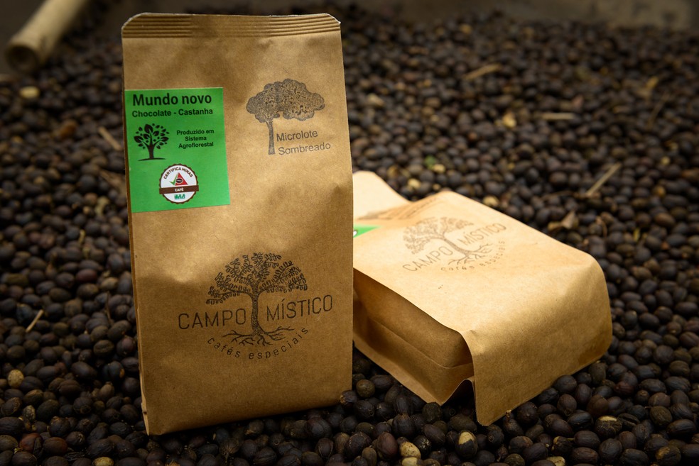 Os microlotes de café produzido na Fazenda Campo Místico são colhidos manualmente e secados lentamente ao sol em terreiro suspenso — Foto: Henrique Grandi