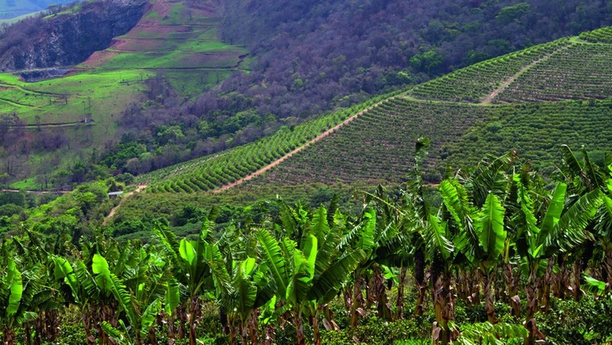 Objetivo é apoiar a tomada de decisão de produtores rurais