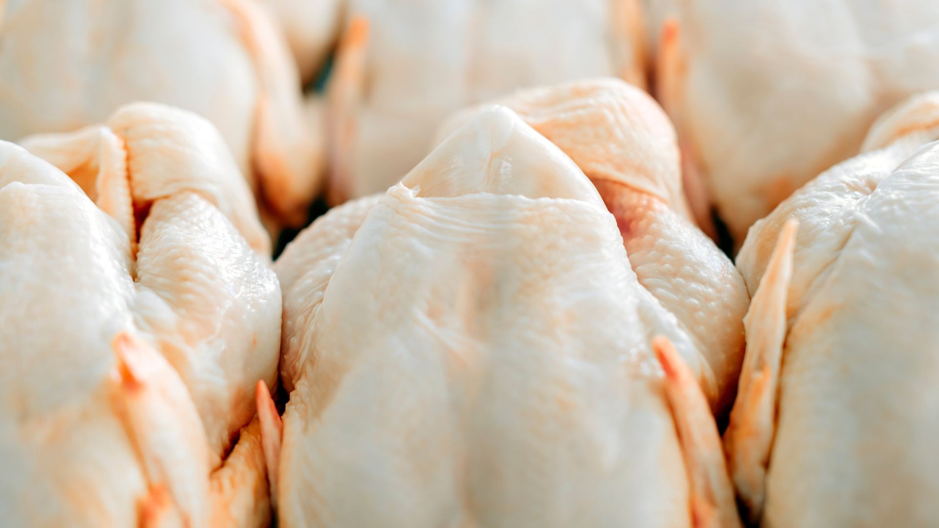 Preços do frango sobem, com disponibilidade de carne caindo a níveis anteriores à gripe aviária