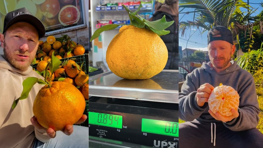No Brasil, a produção da fruta se concentra na região Sudeste e foi introduzida com a imigração japonesa.